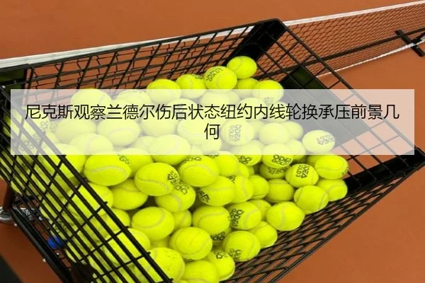 尼克斯观察兰德尔伤后状态纽约内线轮换承压前景几何